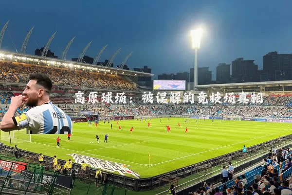 高原球场:被误解的竞技场真相